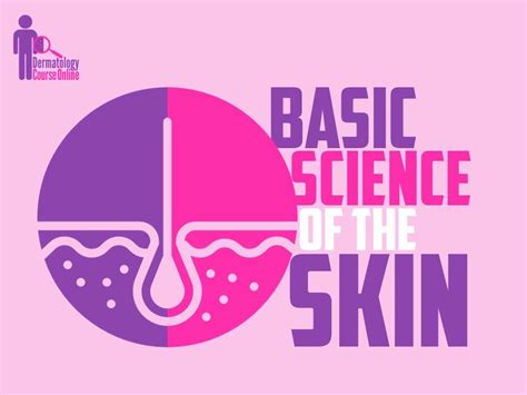Basic Science Of The Skin Lecture Youtube