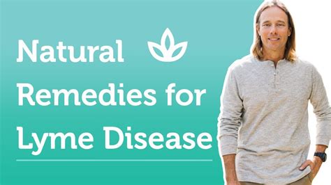 Natural Remedies For Lyme Disease Dr Group Youtube