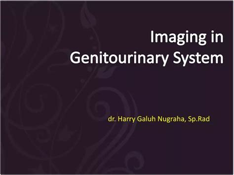 Ppt I Maging In Genitourinary S Ystem Powerpoint Presentation Free