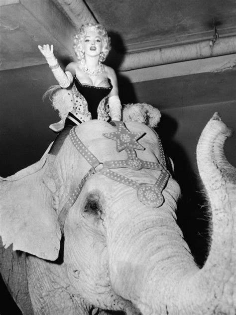 Marilyn Riding A Elephant Norma Jean Marylyn Monroe Vintage