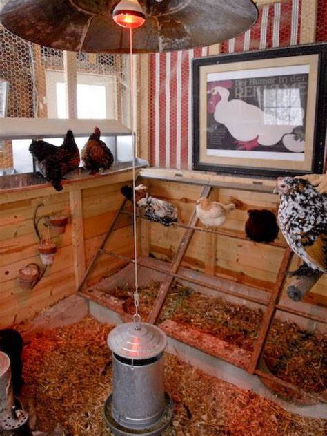 Roosting Bars Are Where Your Chickens Should Perch To Sleep At Night