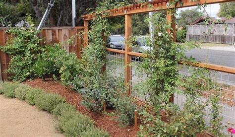 Fruit trees garden planning planer how to plan words google yard design horses Services | Orchard Keepers | Orchard Design, Restoration ...
