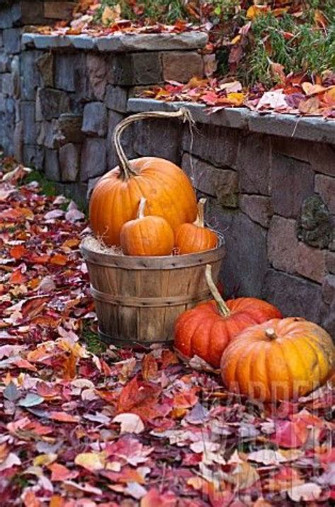 Pin By Victoria Macklin On Fall Colors With Images Autumn Scenery