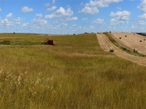 ‘grassland 2 0’ Seeks To Transform Upper Midwest Agriculture Through