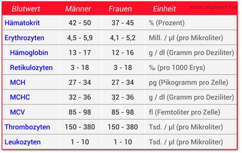 Differenzierung und diagnostik bei anämien. Kleines Blutbild: alle Werte (Männer und Frauen)