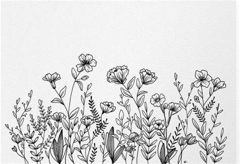 Pin by Анна Рогатинська on Flores | Wildflower drawing, Flower drawing