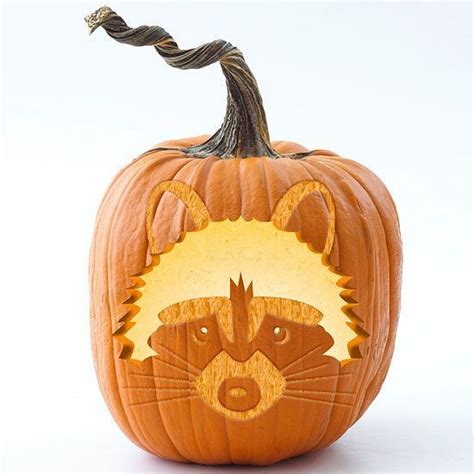 Raccoon Pumpkin Stencil Stencils For Several Other Woodland Animals
