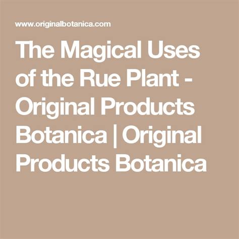 The Magical Uses Of The Rue Plant Florida Water Florida Spirituality