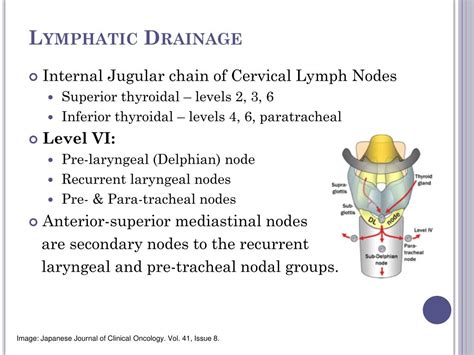 Ppt Thyroid Cancer Powerpoint Presentation Free Download Id6809448