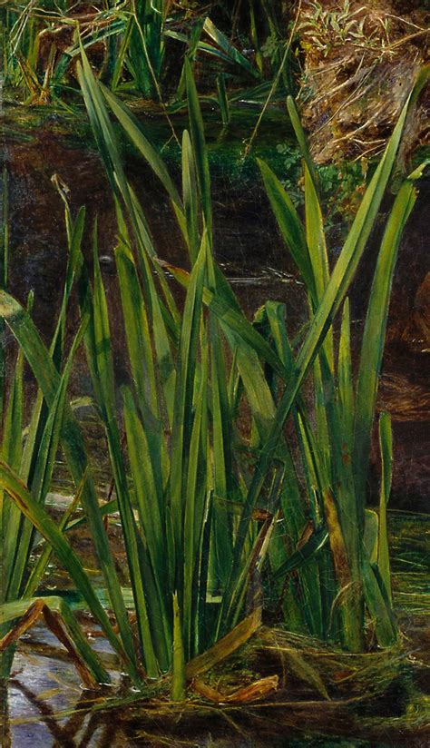 L Ofelia Di John Everett Millais Come Un Amore Tragico Fu Reso In Pittura