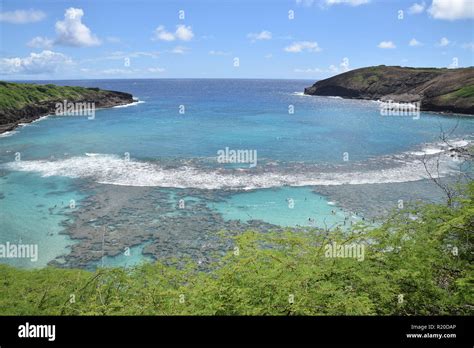 Coral Reef At Hanauma Bay On Oahu With A Wave Breaking In The Blue