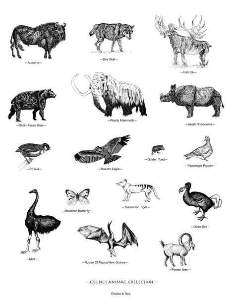 Extinct Animals List With Pictures And Names