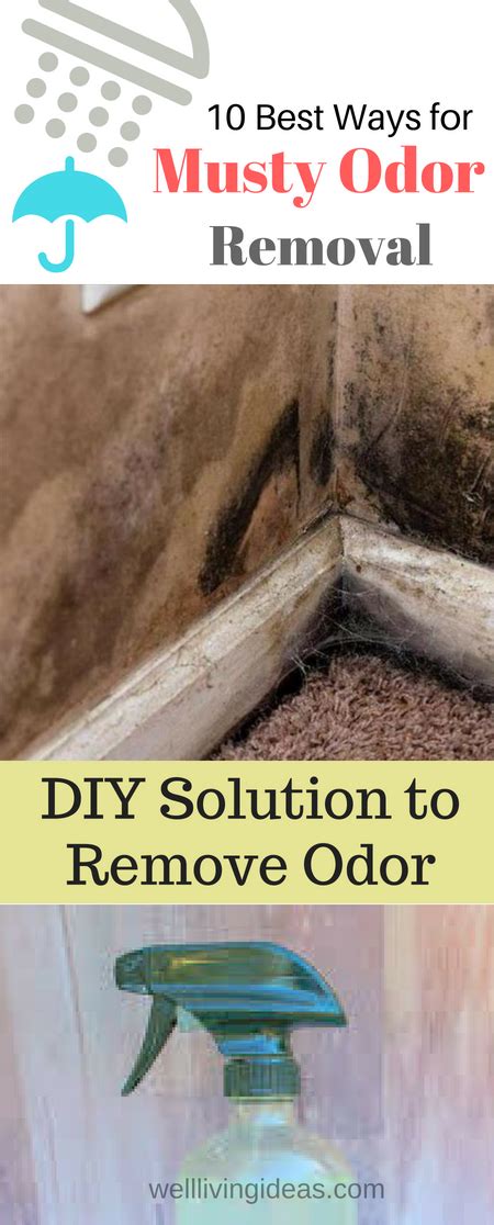 How To Get Rid Of Musty Smell 10 Best Ways For Musty Odor Removal In