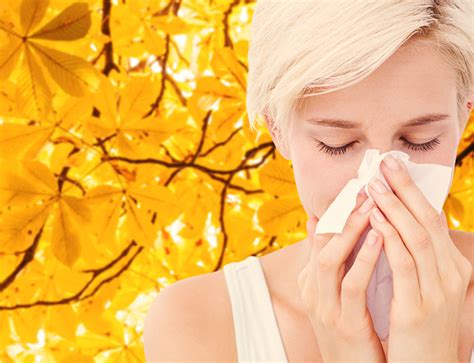 Foods That May Help Alleviate Your Allergies Towson Maryland Ent