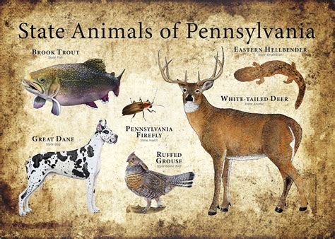 Pennsylvania State Animals Poster Print