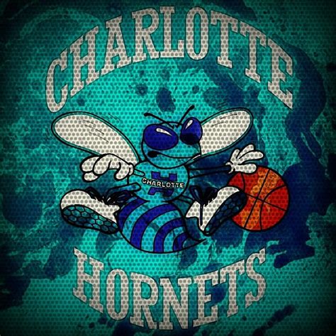 Charlotte Hornets Basketball Art Queen City Charlotte Hornets Basket