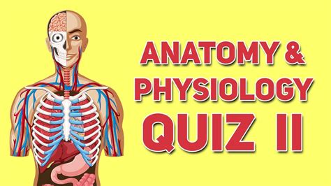 Anatomy And Physiology Quiz Part Ii Youtube