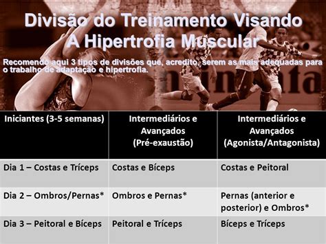 Divisão De Treino Hipertrofia Ln03 Treino Hipertrofia Costas E