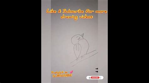 Kako Nacrtati Pticu S Brojem 22 🐦 Crtanje Za Djecu Youtube