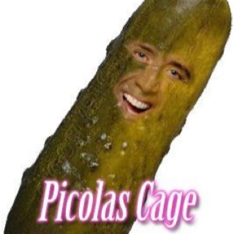 New drafts were written by nine scribers, including cormac and marianne wibberley, e. 18 Outrageous Nicolas Cage Memes | SayingImages.com