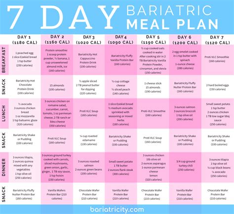 Bariatric Meal Planning Guide 7 Day Sample Meal Plan Bariatricity