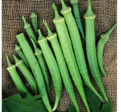 Organic Perkins Long Pod Okra Seeds 30 Seeds A Classic Etsy Uk