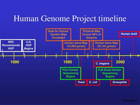 Ppt Human Genome Project Powerpoint Presentation Free Download Id
