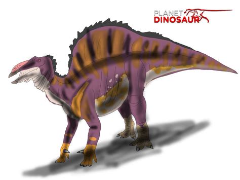 Planet Dinosaur Ouranosaurus By Vespisaurus On Deviantart Dinosaur Dinosaur Life Dinosaur Art