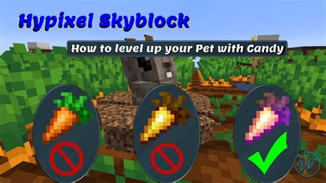 Hypixel Skyblock Leveling Pets with Candy - YouTube