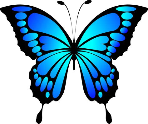 Clipart Blue Butterfly