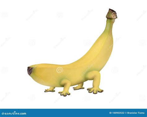 Genetically Modified Banana With Legs Stock Photo Image Of Mutation