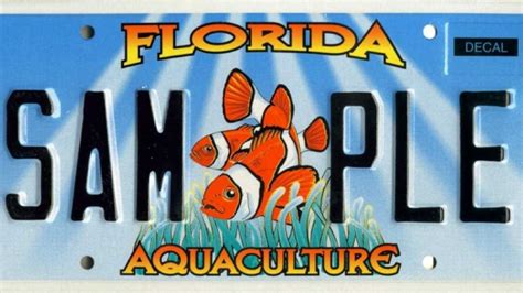 Images Floridas Specialty License Plates