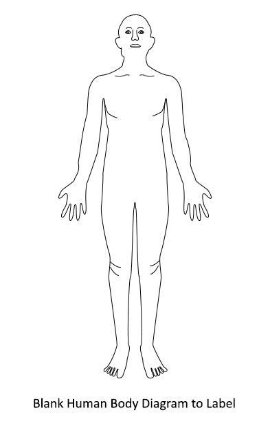 125 name of human body parts of male and female in english and nepali with picture this post is about 125 name of body parts in english, roman, and nepali language. Blank Human Body Diagram | Human body diagram, Body ...