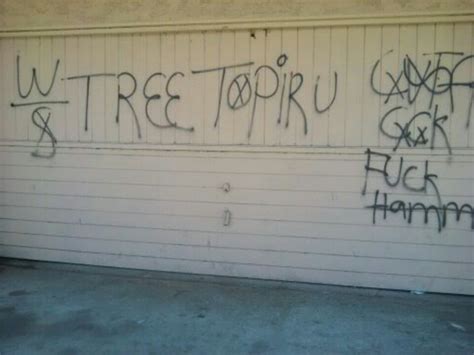 Blood Piru Brims Gangs Graffiti Tree Top Piru Compton
