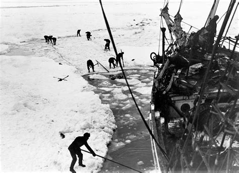 Shackleton Ernest Shackleton And The Endurance Expedition Into The Pack Ice Trapped And Crushed