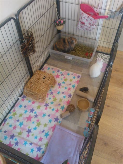 Neji Lunas Cage Indoor Rabbit Set Up Indoor Rabbit Pet Bunny