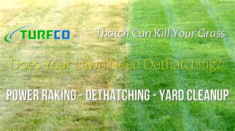 Aerating is best done when there's the problem of compaction. Dethatching & Yard Cleanup - Thatch Kills Grass - Free Estimate - YouTube