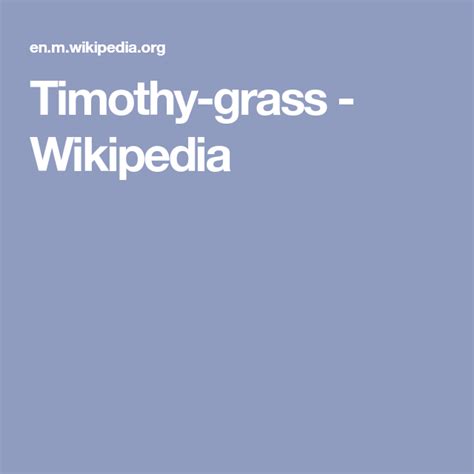Timothy Grass Wikipedia Grass Pasture
