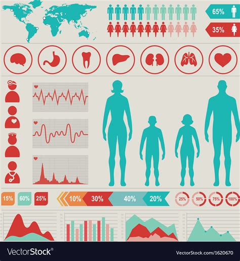 Medical Infographic Royalty Free Vector Image Vectorstock