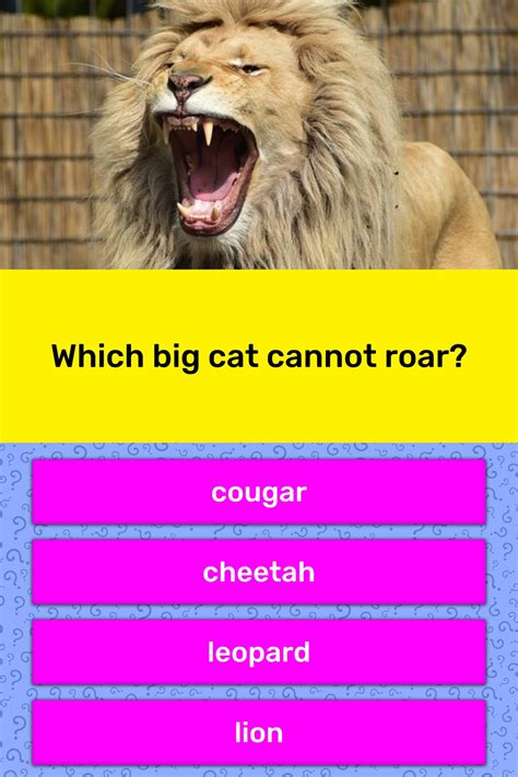 Middle east wild cats include three big cats, the persian leopard, asiatic cheetah (a critically endangered big cat) and arabian leopard. Which big cat cannot roar? | Trivia Answers | QuizzClub