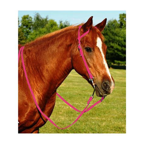 Hot Pink One Or Two Split Ear Western Bridles Two Horse Tack