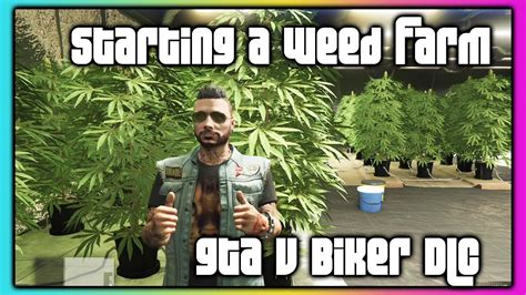 Gta 5 Online Biker Dlc Starting A Weed Farm Youtube
