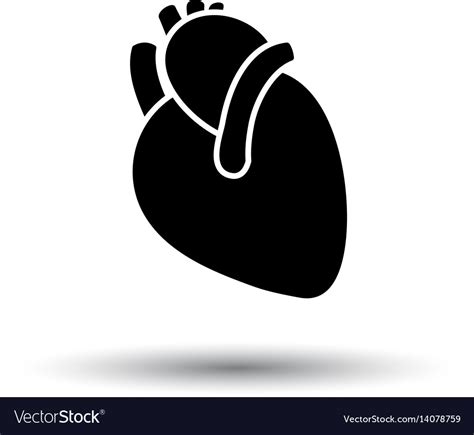 Human Heart Icon Royalty Free Vector Image Vectorstock