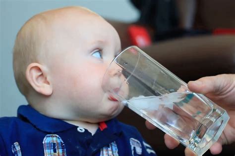 Why Not Give Babies Water To Drink