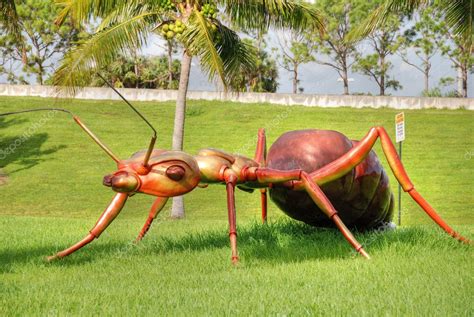 Giant Ant West Palm Beach Florida Jan Stock Photo By ©jovannig 1252732