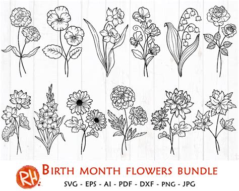 Birth Month Flowers Svg Bundle Birthday Flowers Silhouette Etsy