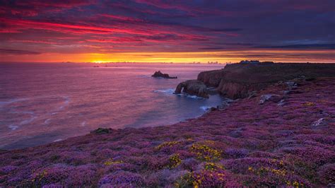 Beautiful Purple Yellow Flowers Field Ocean Rocks Mountains Under Red