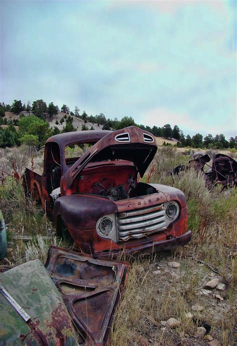 Scenes From A Junkyard Photograph By Cathy Anderson