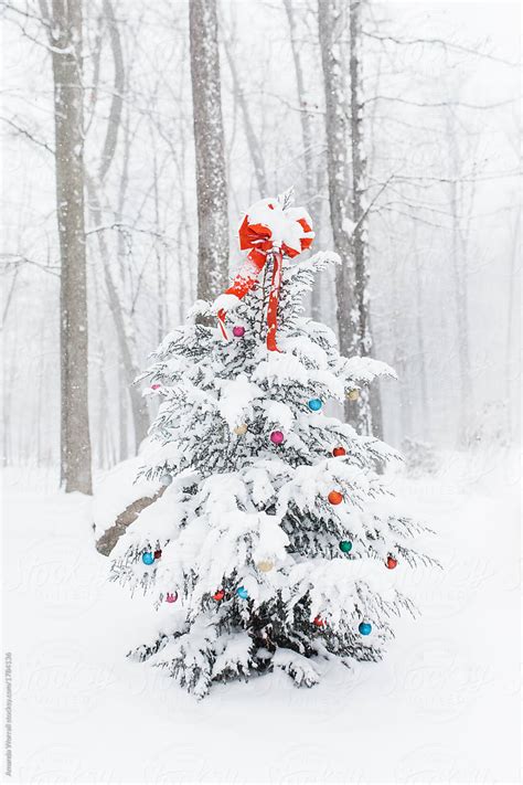 Outdoor Decorated Christmas Tree Covered In Snow By Amanda Worrall