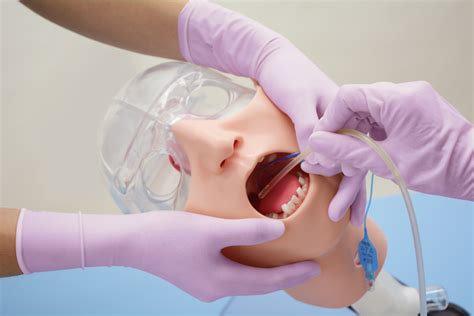 Oral Care Simulator Advanced Kyoto Kagaku